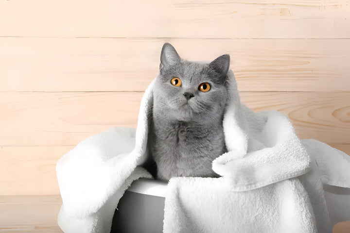 Pet Bath Supplies For Cleaner Happier Companions